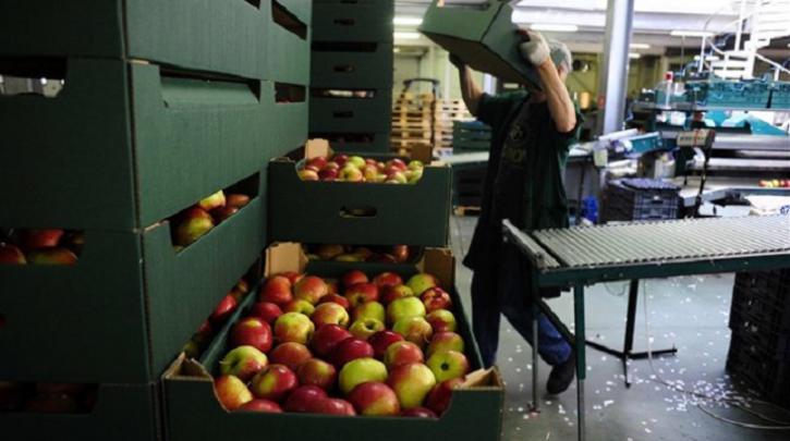 Μείωση 2,5% σημείωσαν οι τιμές των γεωργικών προϊόντων σύμφωνα με την ΕΛΣΤΑΤ