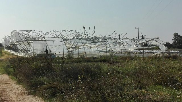 Επιτάχυνση των αποζημιώσεων για τις καταστροφές στην Ηλεία